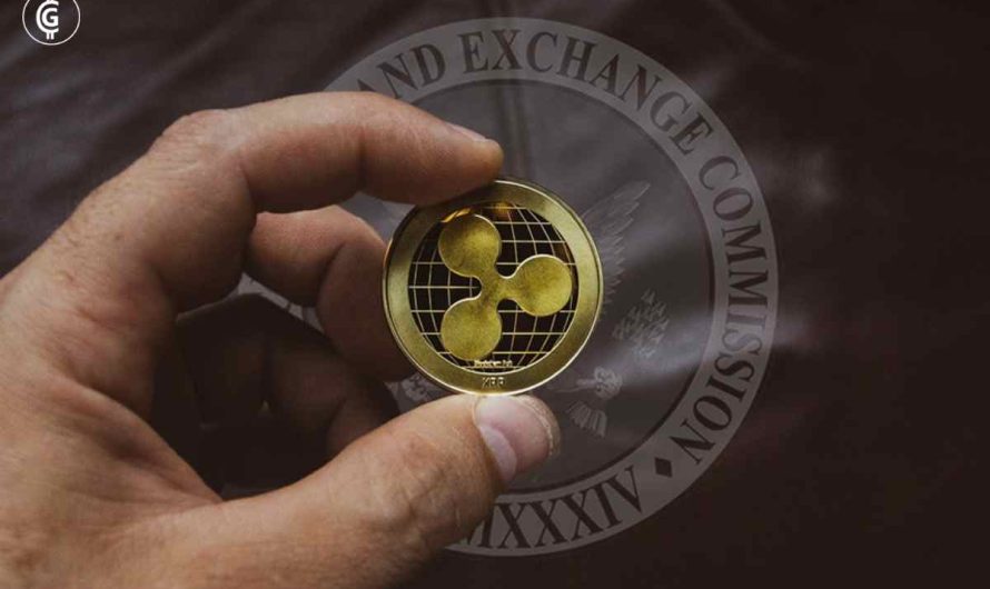 XRP News: Whales Move 385 Million XRP