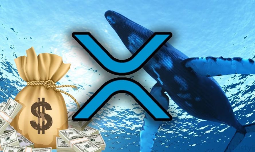 Whales Move 143 Mln XRP; Is Ripple Winning The Lawsuit?